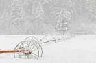 Irrigation sprinkler system in winter snowstorm-Kalispell-Montana Art Print